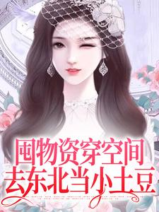 小说《囤物资穿空间，去东北当小土豆》章节阅读