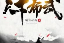 天下布武小说，天下布武章节在线阅读-侠客文学
