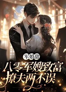军婚甜：八零军嫂致富撩夫两不误小说，军婚甜：八零军嫂致富撩夫两不误免费阅读