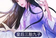 江云姝褚邑的故事在哪本书里?免费阅读皇后三胎九子,朕还需选秀?-侠客文学