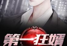 第一狂婿秦天小说免费阅读-侠客文学