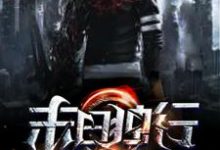 末日独行小说,末日独行在线阅读-侠客文学