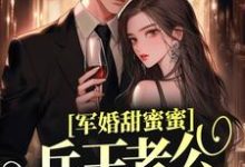小说《军婚甜蜜蜜，兵王老公会宠妻》在线章节阅读-侠客文学