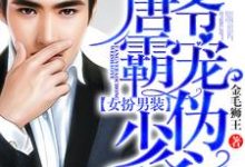 男女主人公顾莫晗唐睿骞顾莫颔小说女扮男装：唐爷霸宠伪少爷章节免费阅读-侠客文学