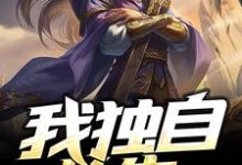 主角苏月空杨雪环小说完结版在线阅读，我独自长生免费看-侠客文学