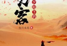 小说《夕阳下的刀客》在线章节阅读-侠客文学