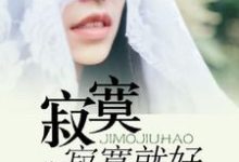 寻找寂寞寂寞就好小说的最新更新章节-侠客文学