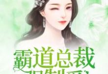 在线寻找霸道总裁强制爱小说的无删减版本-侠客文学