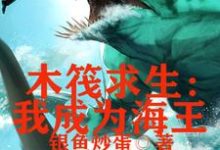 《木筏求生,我成为海王》全集免费在线阅读(丁铁)-侠客文学