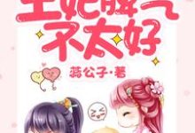 王妃脾气不太好免费阅读，王妃脾气不太好章节在线阅读-侠客文学