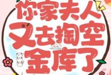 王爷!你家夫人又去掏空金库了主角妖月夜星晨小说完结版章节在线阅读-侠客文学