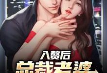 入赘后,总裁老婆心爱白月光肖南沈叶小说免费阅读-侠客文学