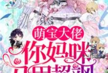 萌宝大佬，你妈咪马甲超飒梁浅秦九墨梁乐，萌宝大佬，你妈咪马甲超飒最新章节-侠客文学
