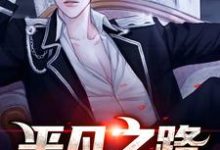 平凡之路小说，平凡之路章节在线阅读-侠客文学