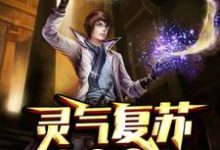 灵气复苏一万年主角叶昊白悠悠张小宝小说完结版章节在线阅读-侠客文学