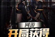 苏九夜小说在哪里可以看-侠客文学