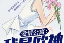 爱情公寓：我是欧神小说有没有完整的免费版本在线阅读？-侠客文学