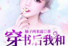 主角叫苏婉林慕辰的小说在哪阅读-侠客文学