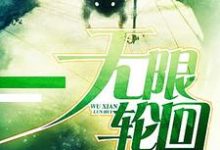 完结版《无限轮回》章节阅读-侠客文学