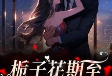 洛唯栀江弋是哪本书的主角？寻找栀子花期至，爱意永不逝免费阅读-侠客文学