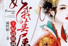 主角安汐司腾夜安毅小说完结版在线阅读，妃你莫属：王妃，请低调免费看-侠客文学