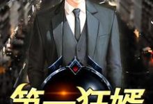 主角肖宇林宛云小说第一狂婿免费阅读-侠客文学