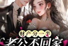 《财产分一半,老公不回家?这好事啊》小说章节列表免费试读,叶念黎南斯年小说在线阅读-侠客文学