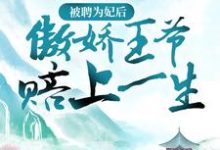 寻找能够免费阅读被聘为妃后,傲娇王爷赔上一生小说的平台-侠客文学