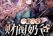 陆一楠赵衍贞为主角的小说好看吗？免费读一胎三宝：财阀奶爸超会宠！-侠客文学