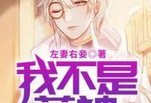 我不是药神叶准江聆韵刘影黄凌波小说免费阅读-侠客文学