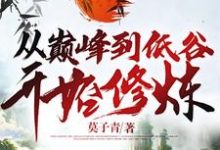 从巅峰到低谷开始修炼(顾念钱小贝)在线免费阅读-侠客文学