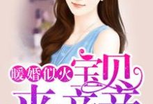 已完结小说《暖婚似火：宝贝，来亲亲！》章节在线阅读-侠客文学