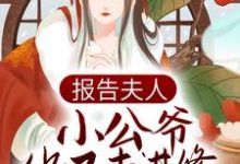 寻找能够免费阅读报告夫人，小公爷他又去进修男德了小说的平台-侠客文学