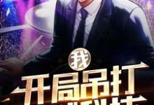 主人公叫何小苗林洛的小说我，开局吊打全球科技在线阅读章节-侠客文学