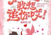 已完结小说《景医生我想追你哎!》章节在线阅读-侠客文学