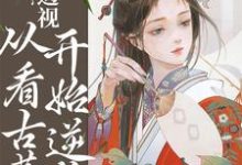 小说《透视：从看古董开始逆袭》在线章节阅读-侠客文学