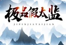 陆谦司冰是哪本书的主角？寻找极品假太监免费阅读-侠客文学