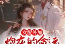 求沈婉青陆忱小说免费资源-侠客文学