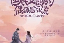 国民女鹅的偶像是顶流小说无弹窗阅读的网站推荐-侠客文学