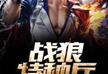 战狼特种兵小说的免费阅读版本在哪里可以找到？-侠客文学