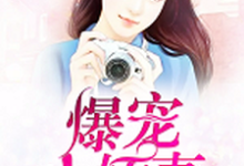 小说《爆宠小娇妻》章节免费阅读-侠客文学