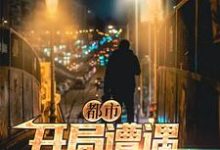完结版《都市：开局遭遇中年危机》章节阅读-侠客文学
