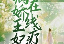 小说《新婚夜，病娇王妃在线疗伤》章节免费阅读-侠客文学