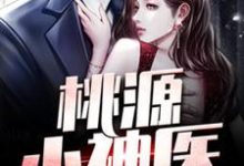 桃源小神医小说有没有完整的免费版本在线阅读？-侠客文学