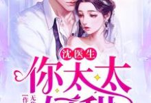 顾乔沈昀黎是哪本书的主角？寻找沈医生，你太太好甜免费阅读-侠客文学