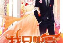 《我只想要一百万》小说大结局免费试读 钟奕丁玲小说-侠客文学