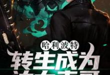 哈利波特：转生成为达力表哥小说的免费电子版在哪里可以下载或阅读？-侠客文学