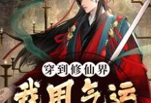 穿到修仙界,我用气运转盘成神小说最新章节在哪里可以读到?-侠客文学