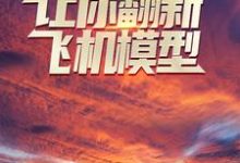 让你翻新飞机模型，你却打造幽灵战机？ 齐风田莹小说大结局免费试读-侠客文学