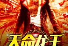 天命龙王陈八荒魏子晴小说在线章节免费阅读-侠客文学